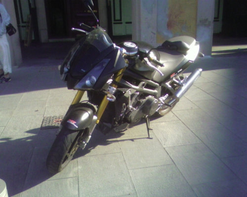 1000SF_garibaldi1.jpg