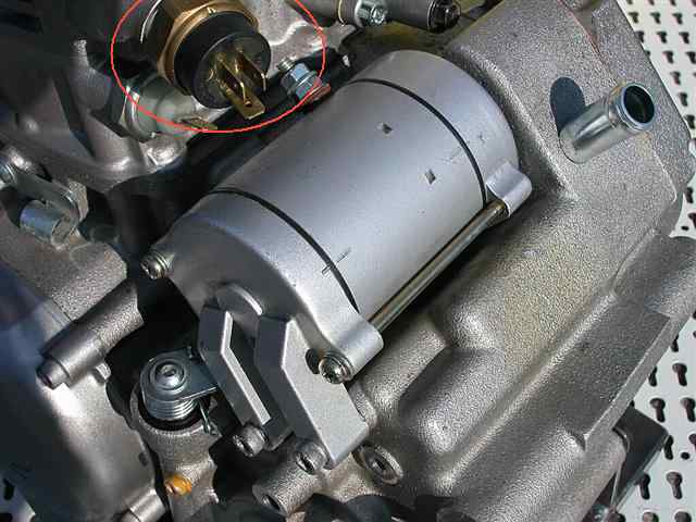 thermocontact.jpg